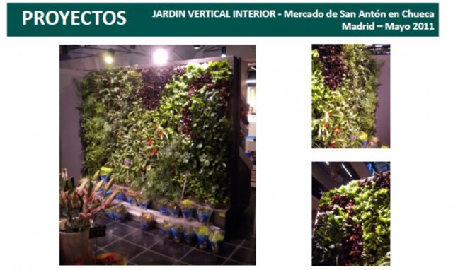 14 jardines verticales